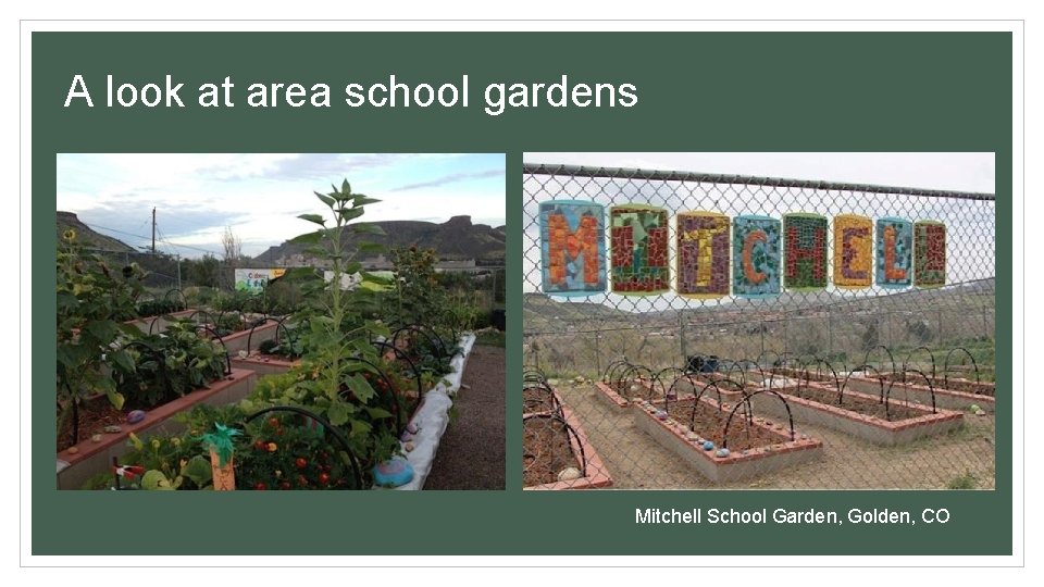 A look at area school gardens Mitchell School Garden, Golden, CO 