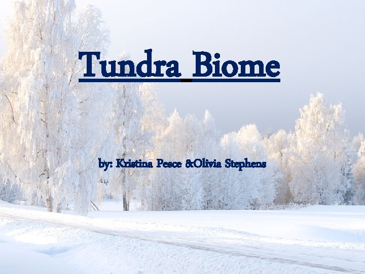 Tundra Biome by: Kristina Pesce &Olivia Stephens 