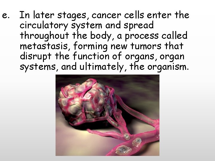 e. In later stages, cancer cells enter the circulatory system and spread throughout the