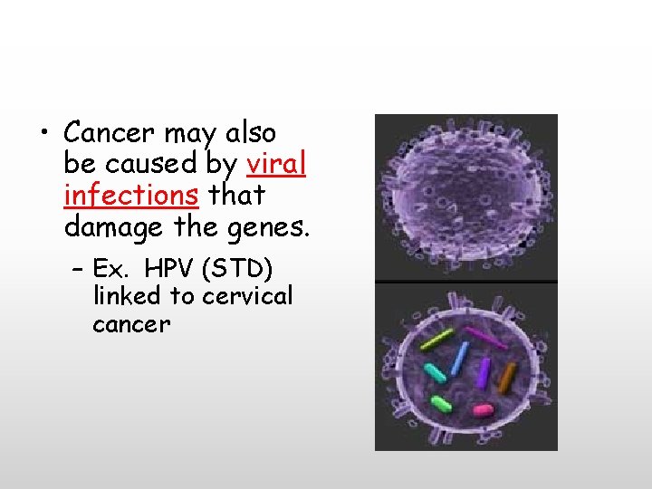  • Cancer may also be caused by viral infections that damage the genes.