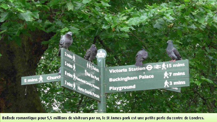 Ballade romantique pour 5, 5 millions de visiteurs par an, le St James park