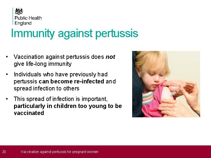 Immunity against pertussis • Vaccination against pertussis does not give life-long immunity • Individuals