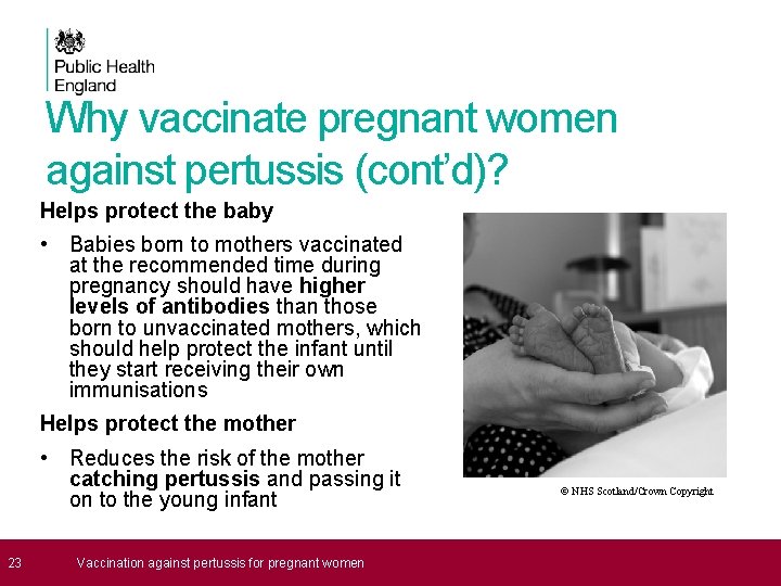 Why vaccinate pregnant women against pertussis (cont’d)? Helps protect the baby • Babies born
