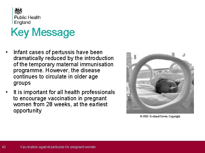 Key Message • Infant cases of pertussis have been dramatically reduced by the introduction