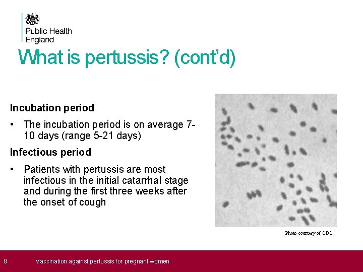 What is pertussis? (cont’d) Incubation period • The incubation period is on average 710
