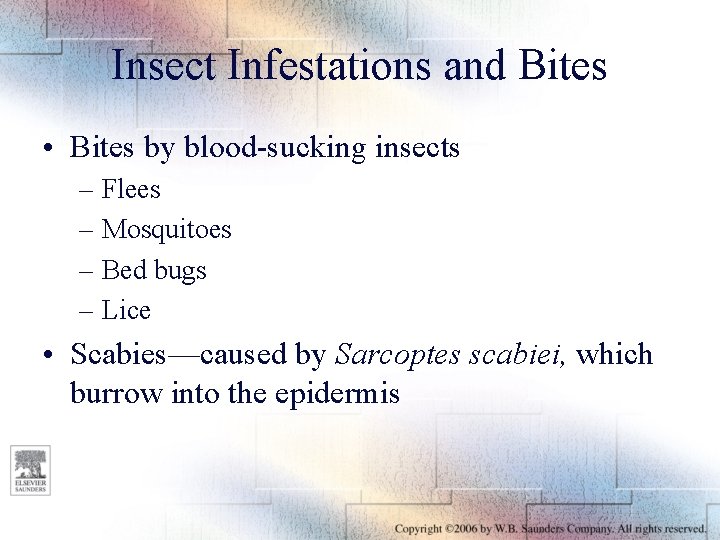 Insect Infestations and Bites • Bites by blood-sucking insects – Flees – Mosquitoes –