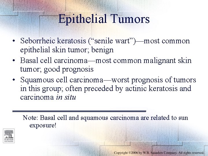 Epithelial Tumors • Seborrheic keratosis (“senile wart”)—most common epithelial skin tumor; benign • Basal