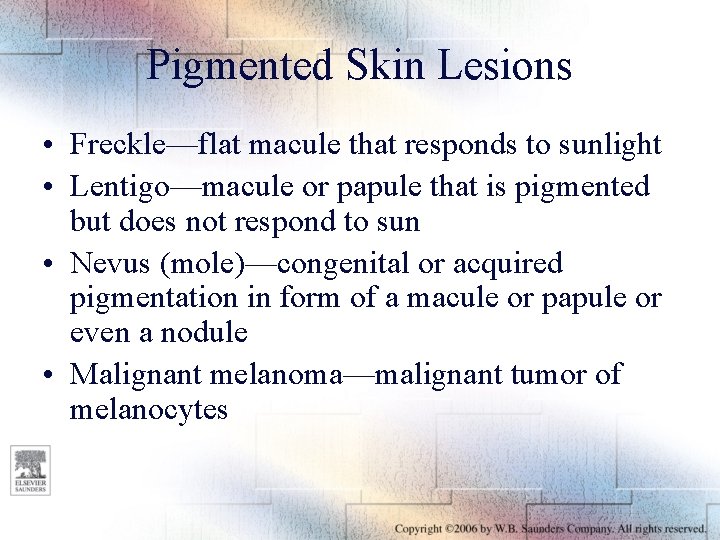 Pigmented Skin Lesions • Freckle—flat macule that responds to sunlight • Lentigo—macule or papule