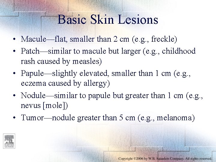 Basic Skin Lesions • Macule—flat, smaller than 2 cm (e. g. , freckle) •
