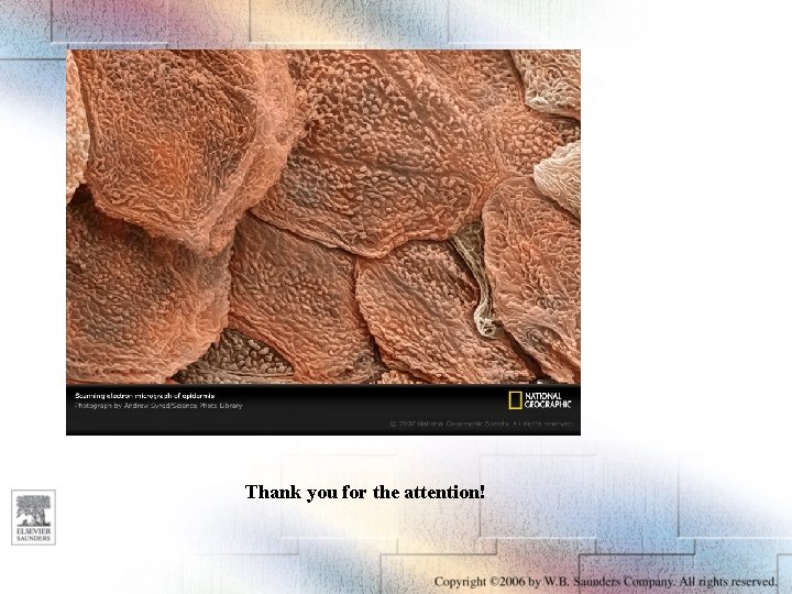 Thank you for the attention! 