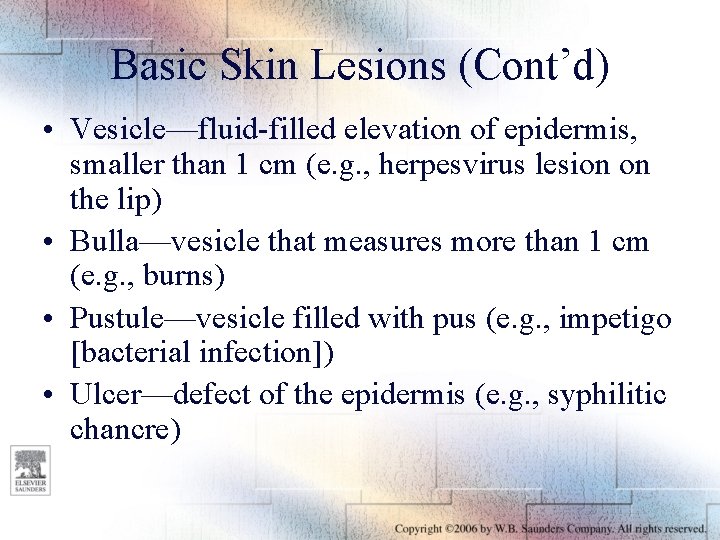 Basic Skin Lesions (Cont’d) • Vesicle—fluid-filled elevation of epidermis, smaller than 1 cm (e.