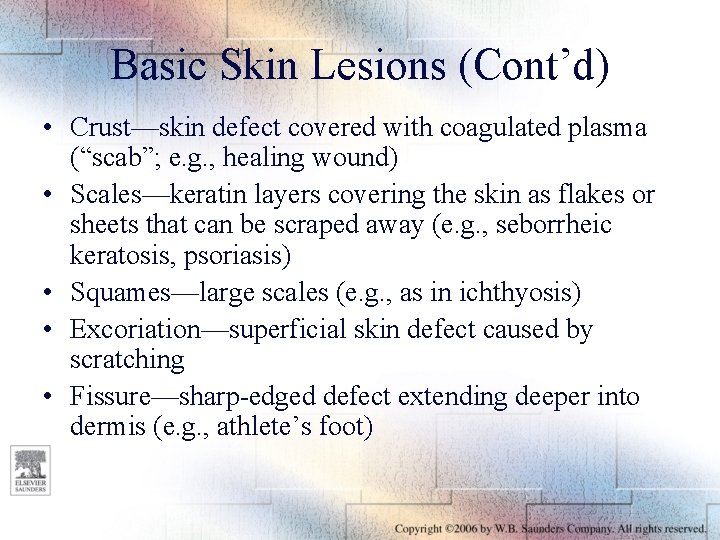 Basic Skin Lesions (Cont’d) • Crust—skin defect covered with coagulated plasma (“scab”; e. g.
