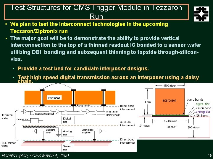 Test Structures for CMS Trigger Module in Tezzaron Run • We plan to test