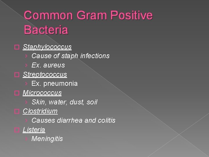 Common Gram Positive Bacteria � � � Staphylococcus › Cause of staph infections ›