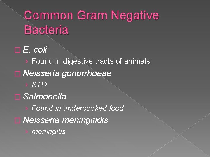 Common Gram Negative Bacteria � E. coli › Found in digestive tracts of animals