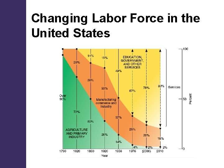 Changing Labor Force in the United States 