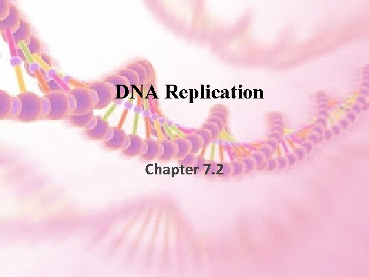 DNA Replication Chapter 7 2 Processing of Genetic