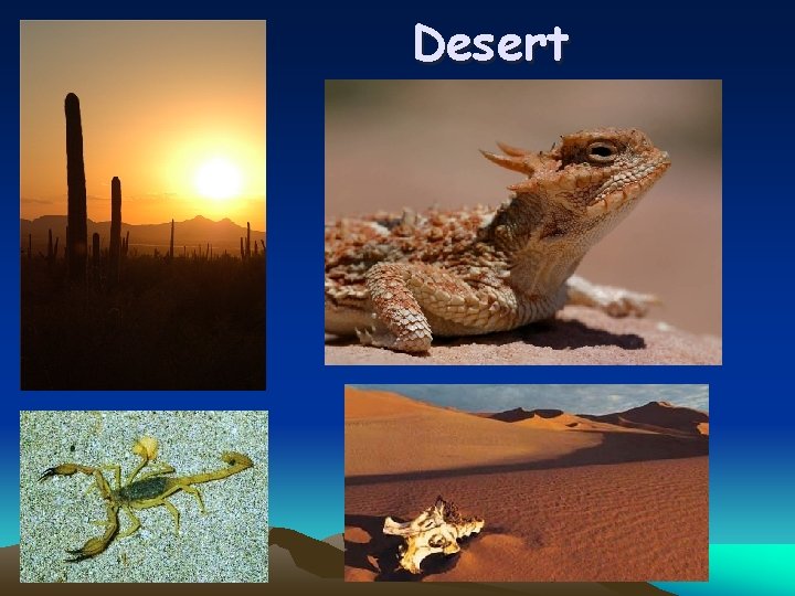 Desert 