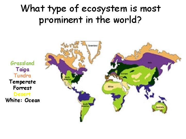 What type of ecosystem is most prominent in the world? Grassland Taiga Tundra Temperate