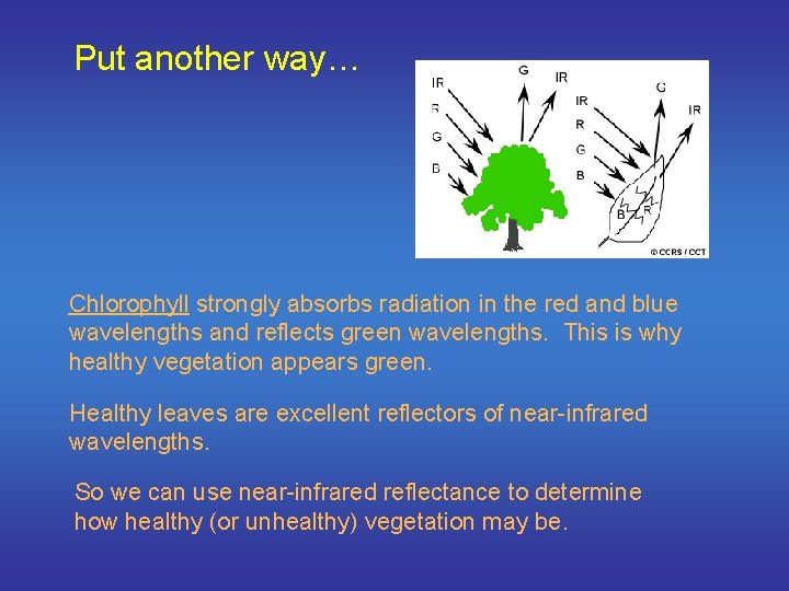 Put another way… Chlorophyll strongly absorbs radiation in the red and blue wavelengths and