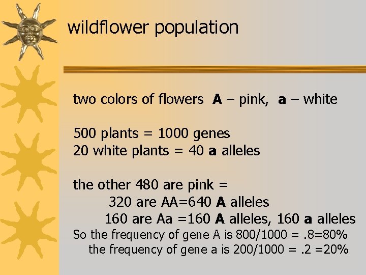 wildflower population two colors of flowers A – pink, a – white 500 plants
