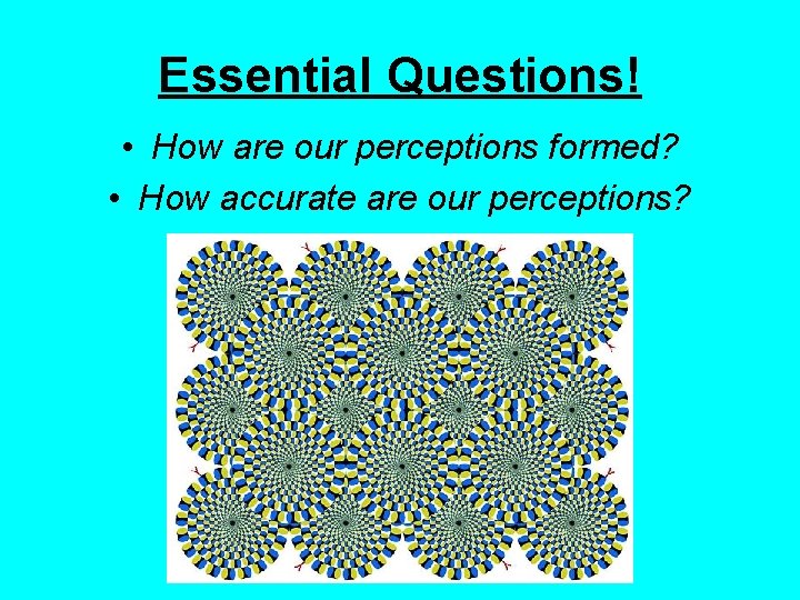 Essential Questions! • How are our perceptions formed? • How accurate are our perceptions?