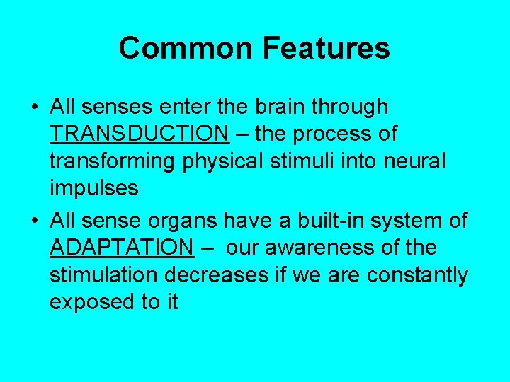 Common Features • All senses enter the brain through TRANSDUCTION – the process of