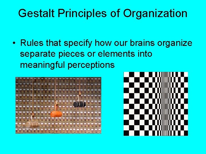 Gestalt Principles of Organization • Rules that specify how our brains organize separate pieces
