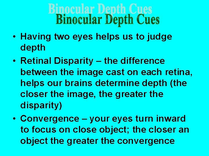  • Having two eyes helps us to judge depth • Retinal Disparity –