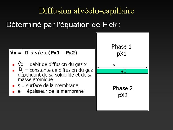 Diffusion alvéolo-capillaire Déterminé par l’équation de Fick : D D 