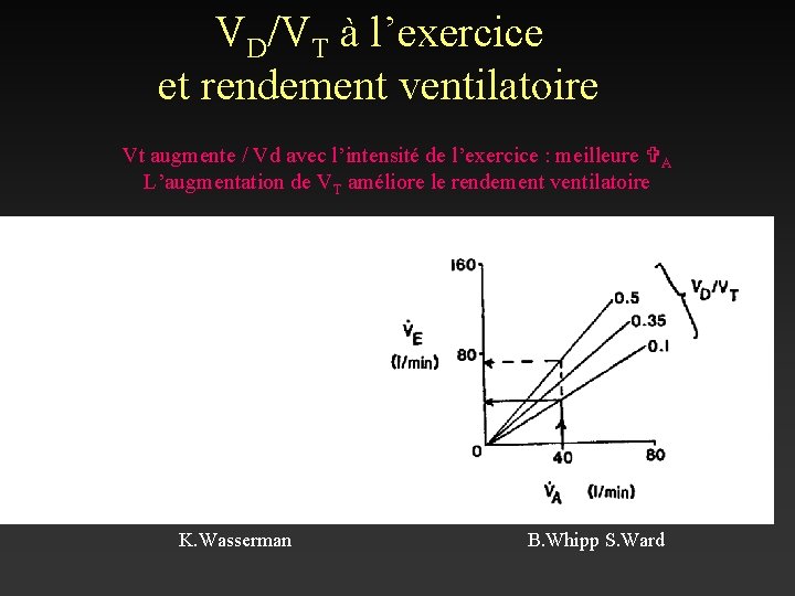 VD/VT à l’exercice et rendement ventilatoire Vt augmente / Vd avec l’intensité de l’exercice