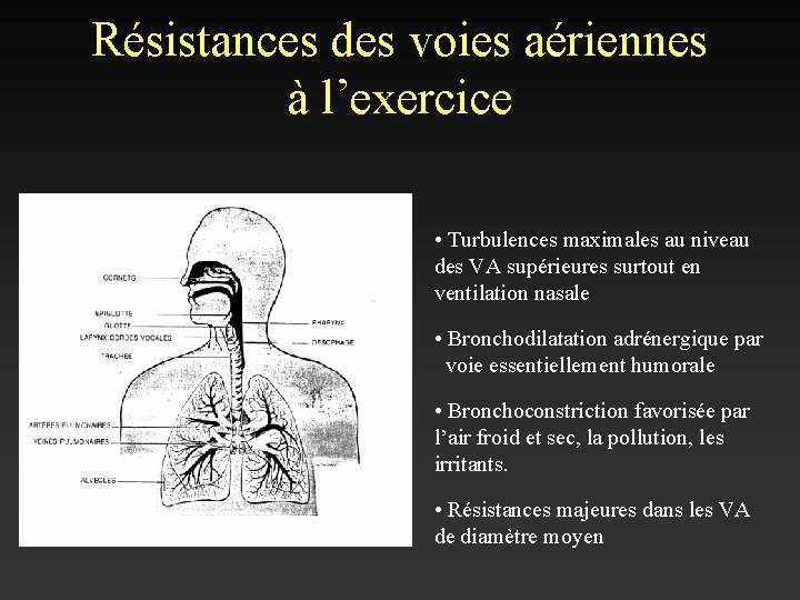 Résistances des voies aériennes à l’exercice • Turbulences maximales au niveau des VA supérieures