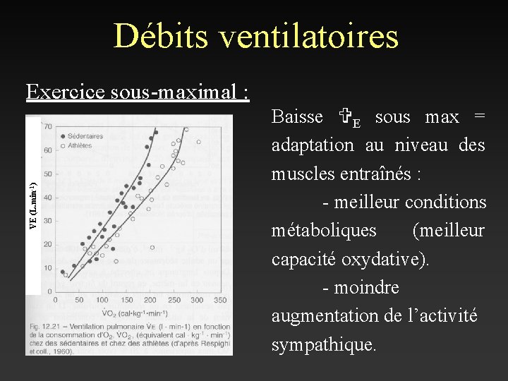 Débits ventilatoires VE (L. min-1) Exercice sous-maximal : Baisse VE sous max = adaptation