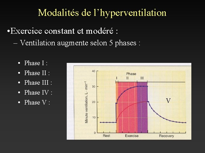 Modalités de l’hyperventilation • Exercice constant et modéré : – Ventilation augmente selon 5