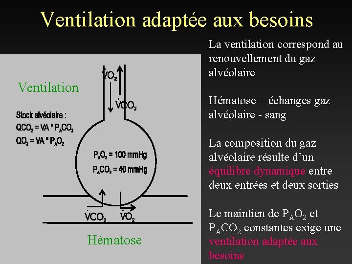 Ventilation adaptée aux besoins La ventilation correspond au renouvellement du gaz alvéolaire Ventilation Hématose