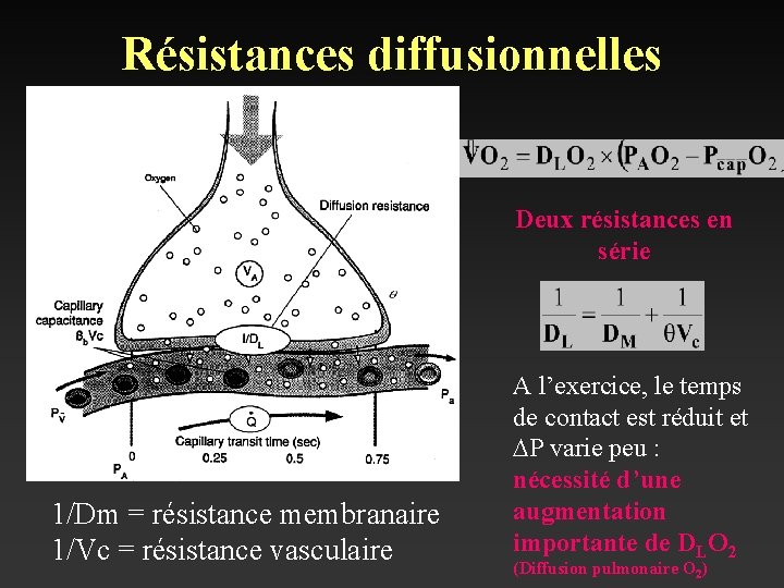 Résistances diffusionnelles J. M. B. Hughes Deux résistances en série 1/Dm = résistance membranaire