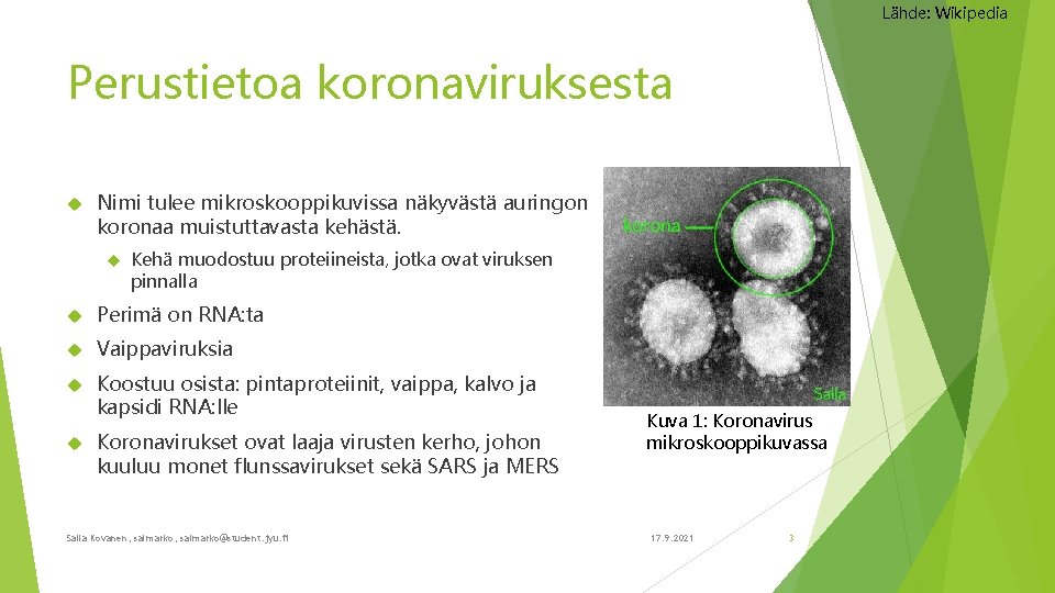 Lähde: Wikipedia Perustietoa koronaviruksesta Nimi tulee mikroskooppikuvissa näkyvästä auringon koronaa muistuttavasta kehästä. Kehä muodostuu