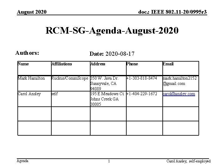 August 2020 doc. : IEEE 802. 11 -20/0995 r 3 RCM-SG-Agenda-August-2020 Authors: Date: 2020