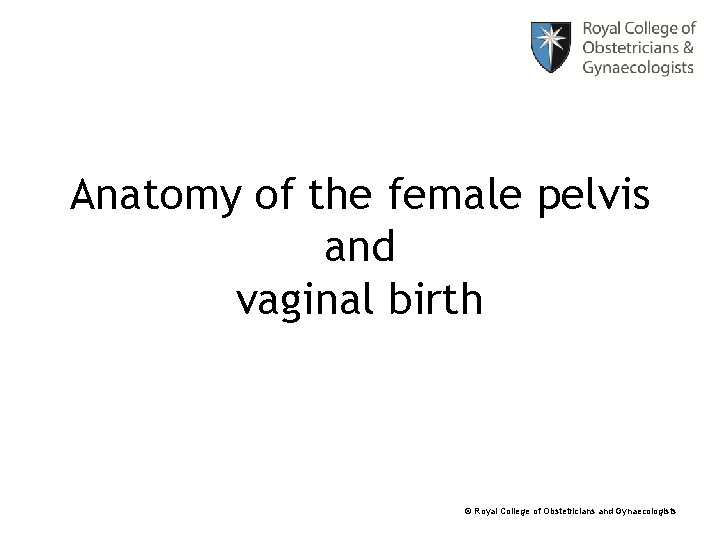 Anatomy of the female pelvis and vaginal birth © Royal College of Obstetricians and