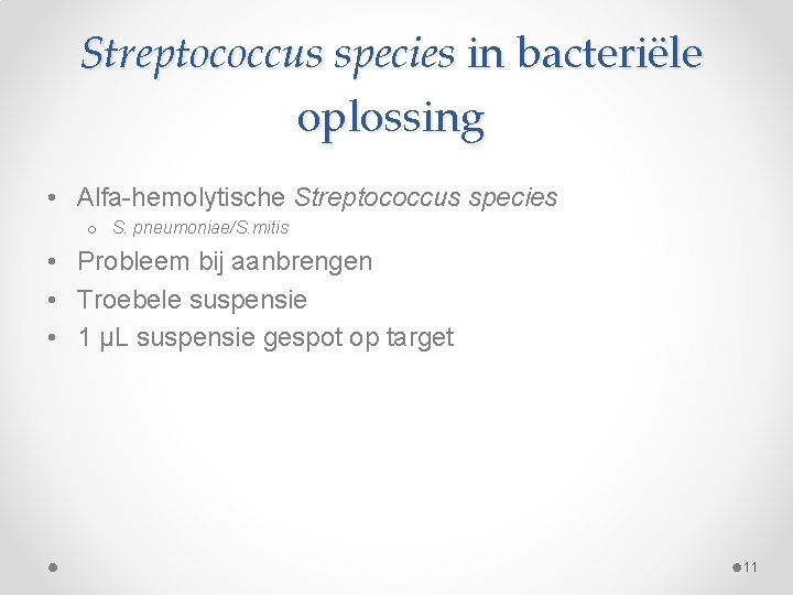 Streptococcus species in bacteriële oplossing • Alfa-hemolytische Streptococcus species o S. pneumoniae/S. mitis •