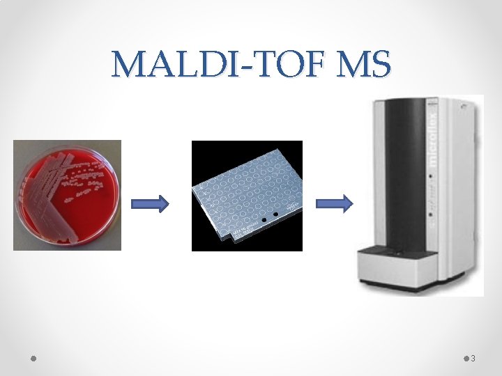 MALDI-TOF MS 3 