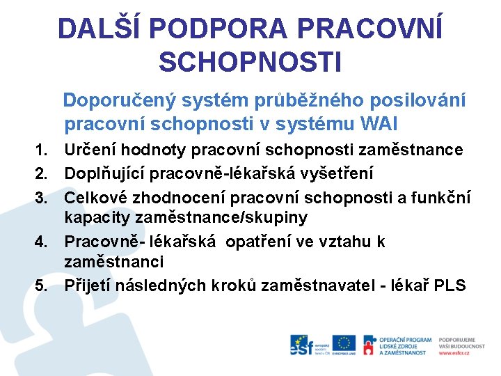 DALŠÍ PODPORA PRACOVNÍ SCHOPNOSTI Doporučený systém průběžného posilování pracovní schopnosti v systému WAI 1.