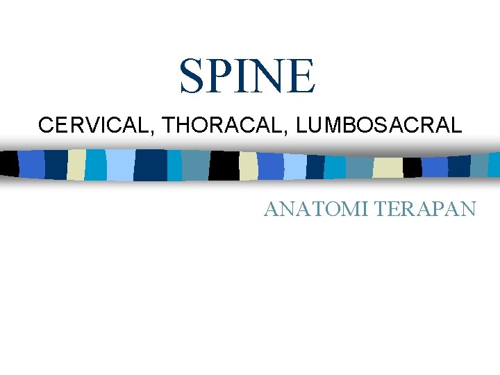 SPINE CERVICAL, THORACAL, LUMBOSACRAL ANATOMI TERAPAN 
