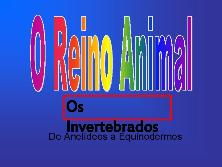 Os Invertebrados De Anelídeos a Equinodermos 