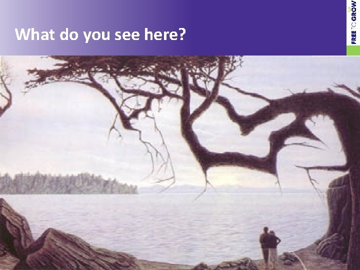 What do you see here? © Free To Grow 