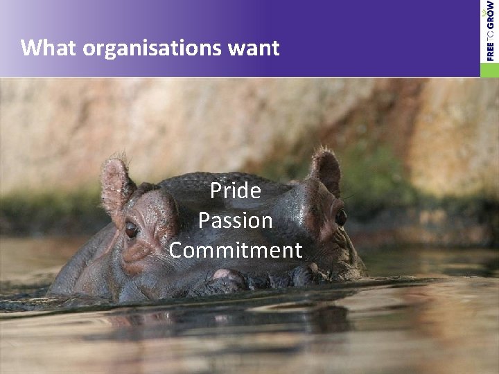 What organisations want Pride Passion Commitment © Free To Grow 