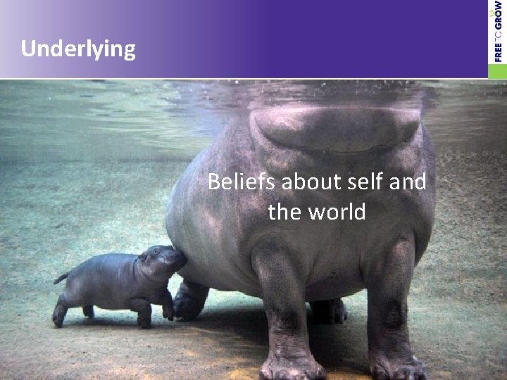 Underlying Beliefs about self and the world © Free To Grow 