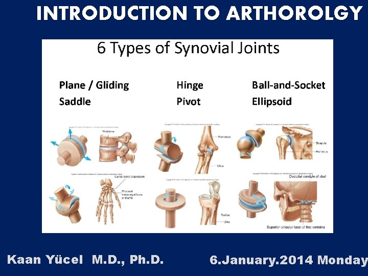 INTRODUCTION TO ARTHOROLGY Kaan Yücel M. D. , Ph. D. 6. January. 2014 Monday