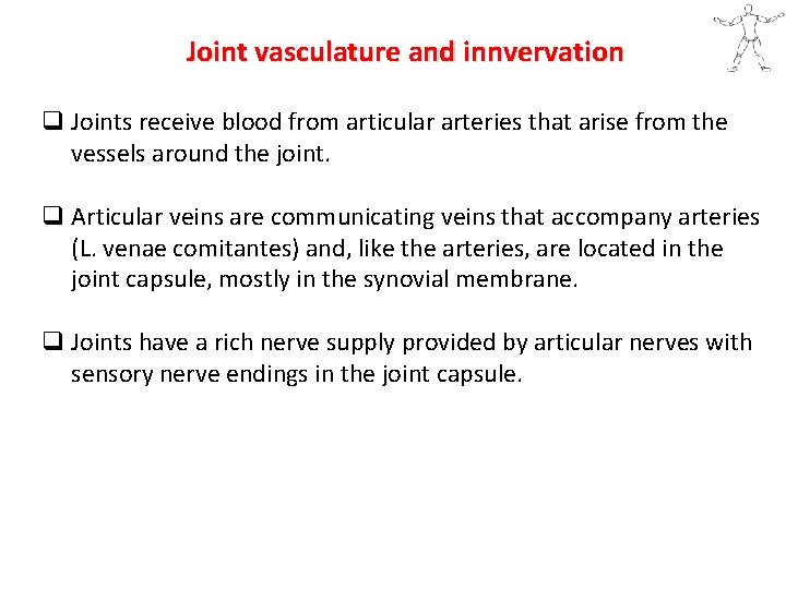 Joint vasculature and innvervation q Joints receive blood from articular arteries that arise from