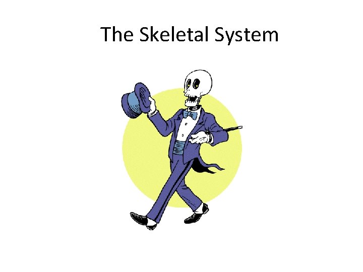 The Skeletal System Created by Scott Ford © 2007 All rights reserved 
